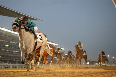 meydan horse racing results yesterday